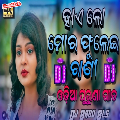 Haye Lo Mora Phulei Rani Odia Dj